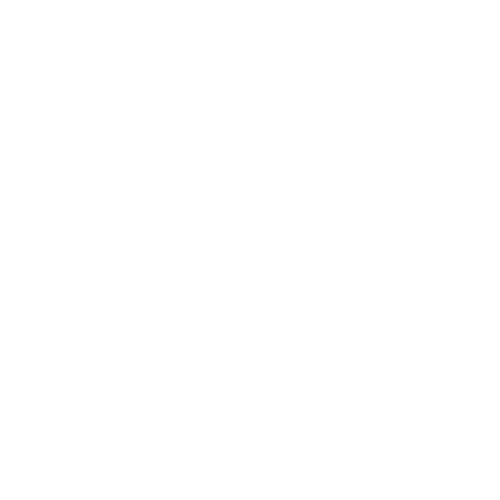 LEO EVERYTHANG logo
